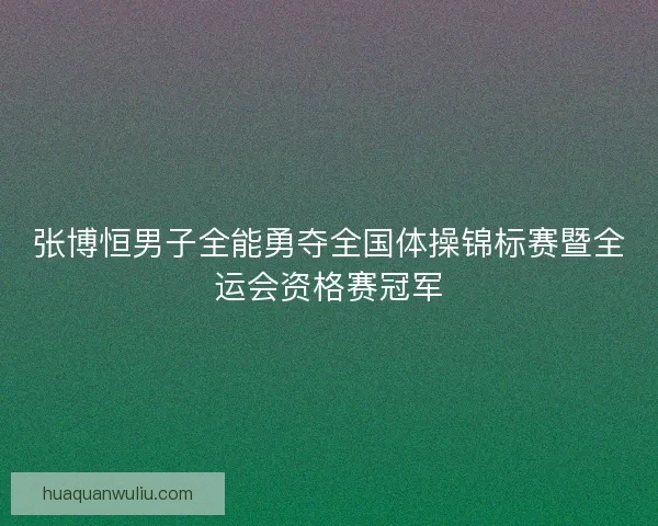 张博恒男子全能勇夺全国体操锦标赛暨全运会资格赛冠军