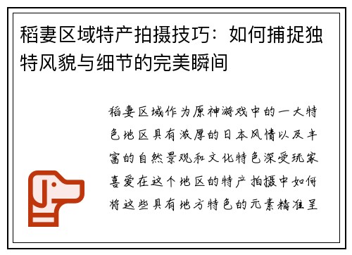 稻妻区域特产拍摄技巧：如何捕捉独特风貌与细节的完美瞬间